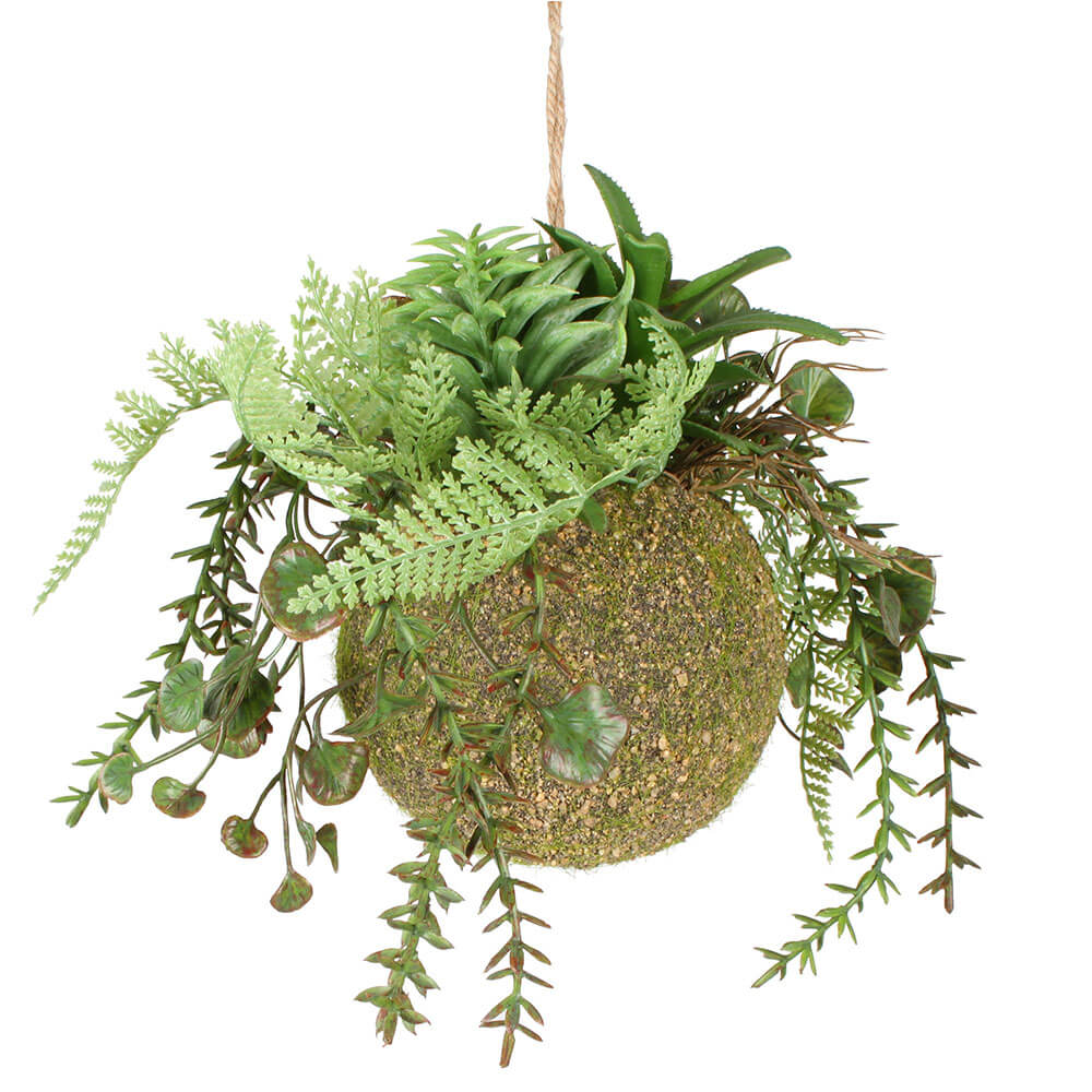 Moana Kokedama blandat hängande