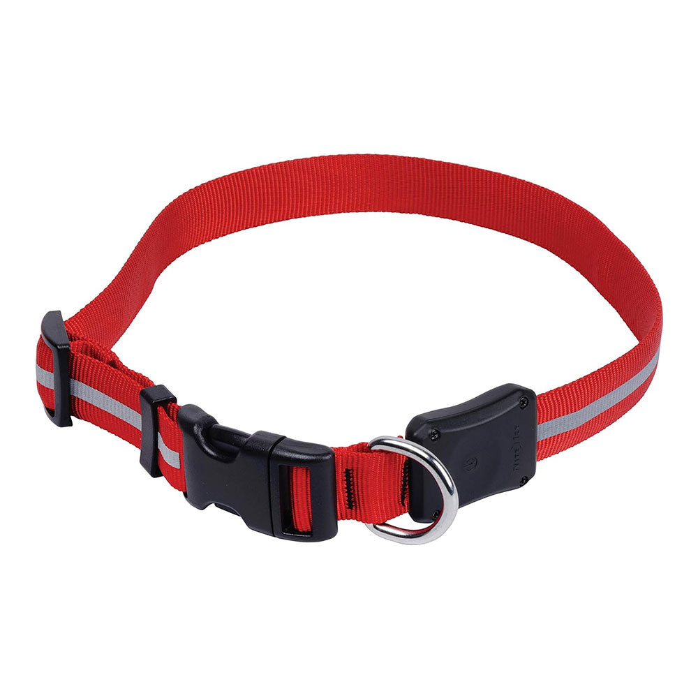 Collar Nite Ize Dawg (rojo)