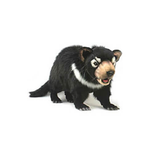 Hansa Tasmanian Devil