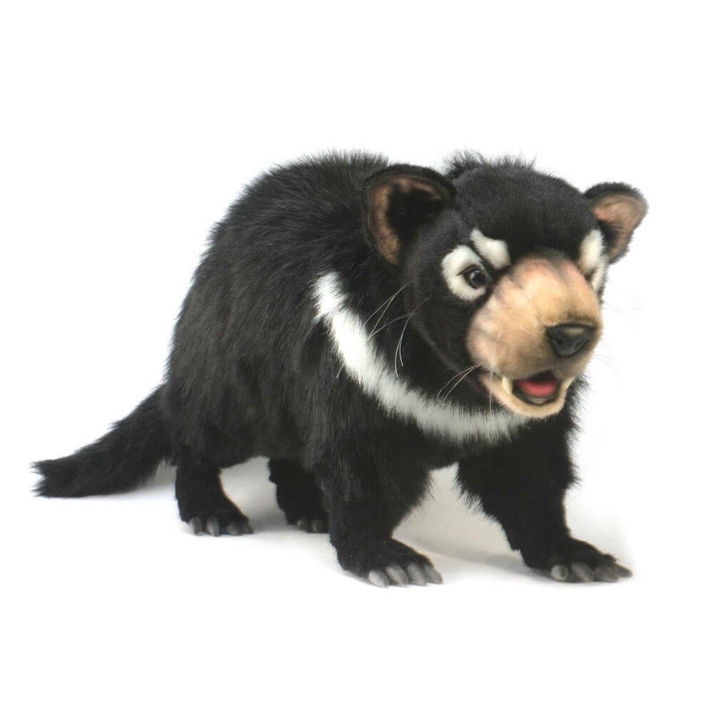 Hansa Tasmanian Devil