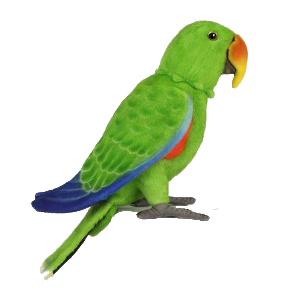 Electus Electus Parrot Plush Toy 30cm