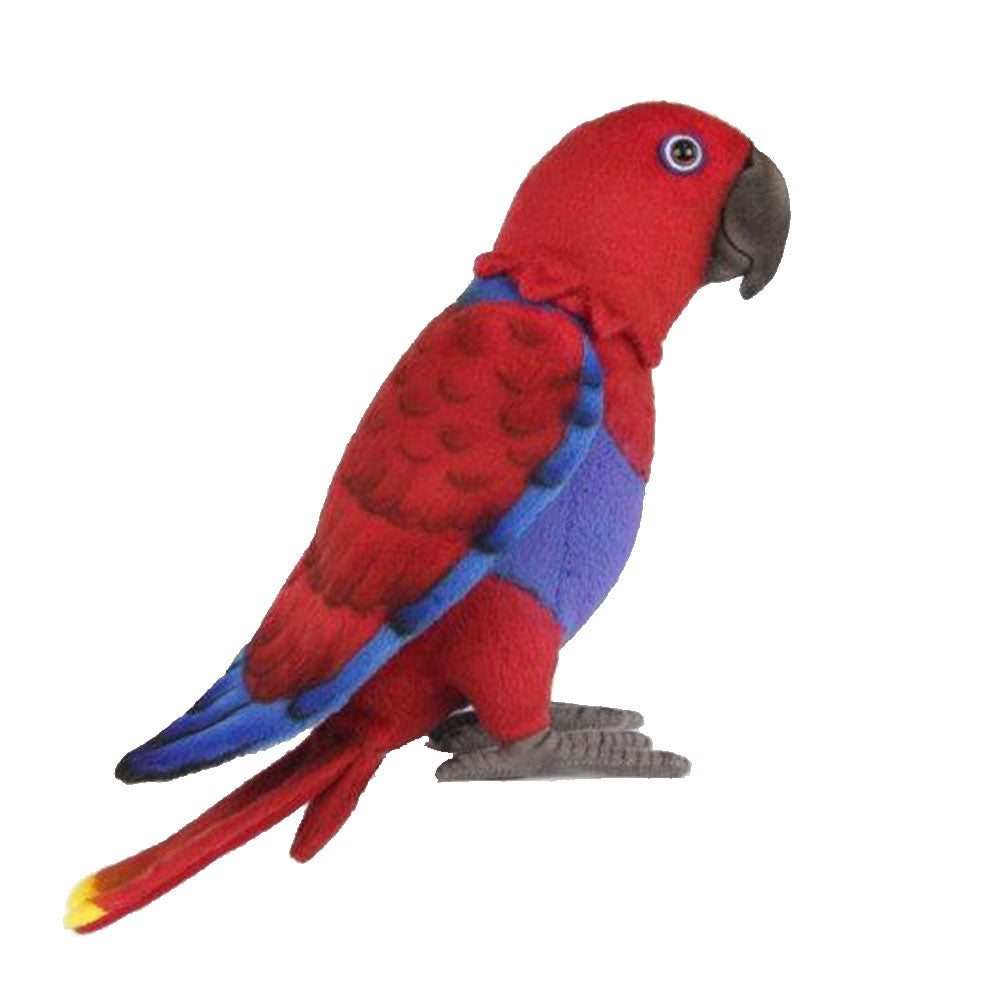 Electus Electus Parrot Plush Toy 30cm