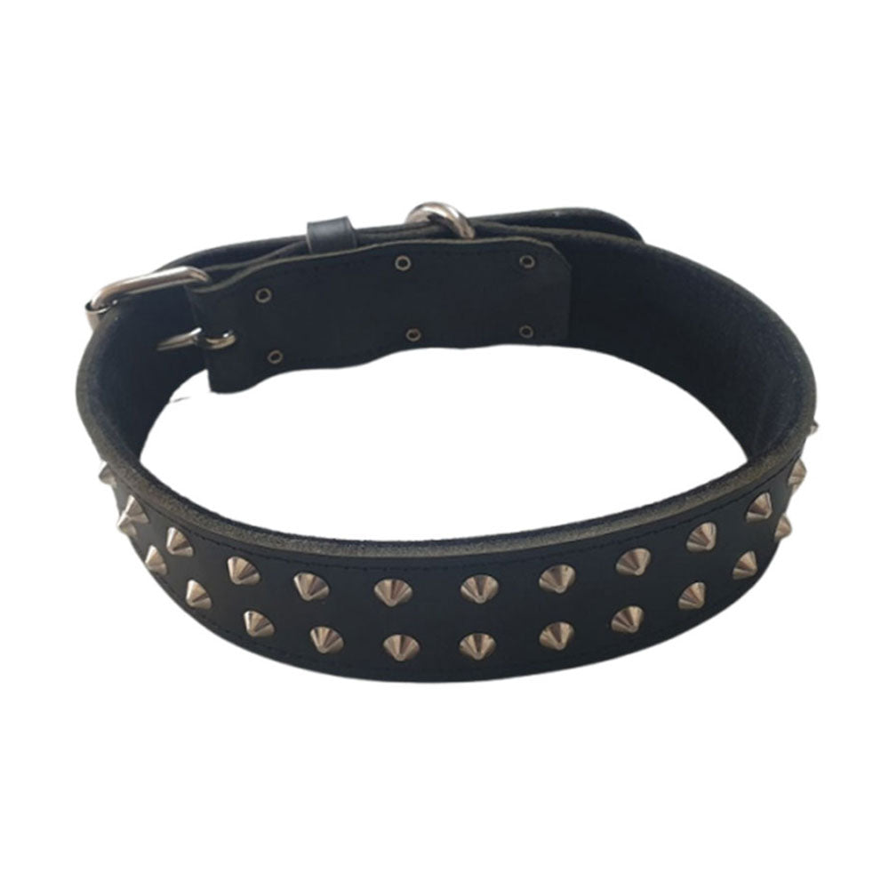 Collar de cuero Rottweiler