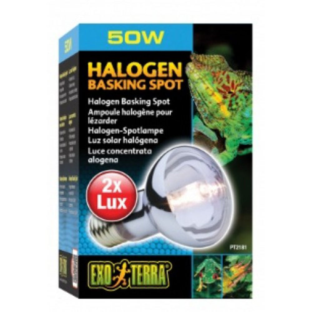 Lampa punktowa exo terra halogenowa