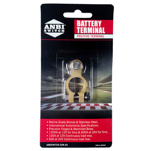 ANBI Battery Terminal