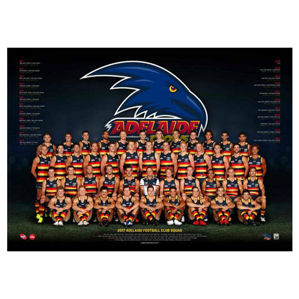 Póster del equipo AFL 2017