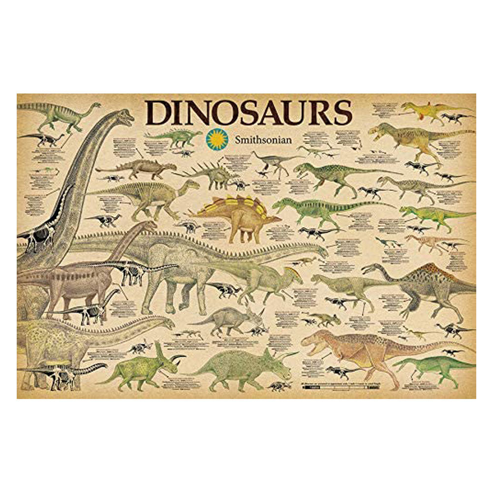 Póster de dinosaurios