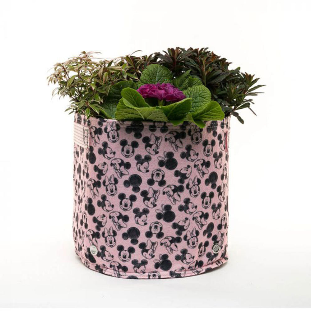 Mickey & Minnie Fabric Eco-Pot (Small)