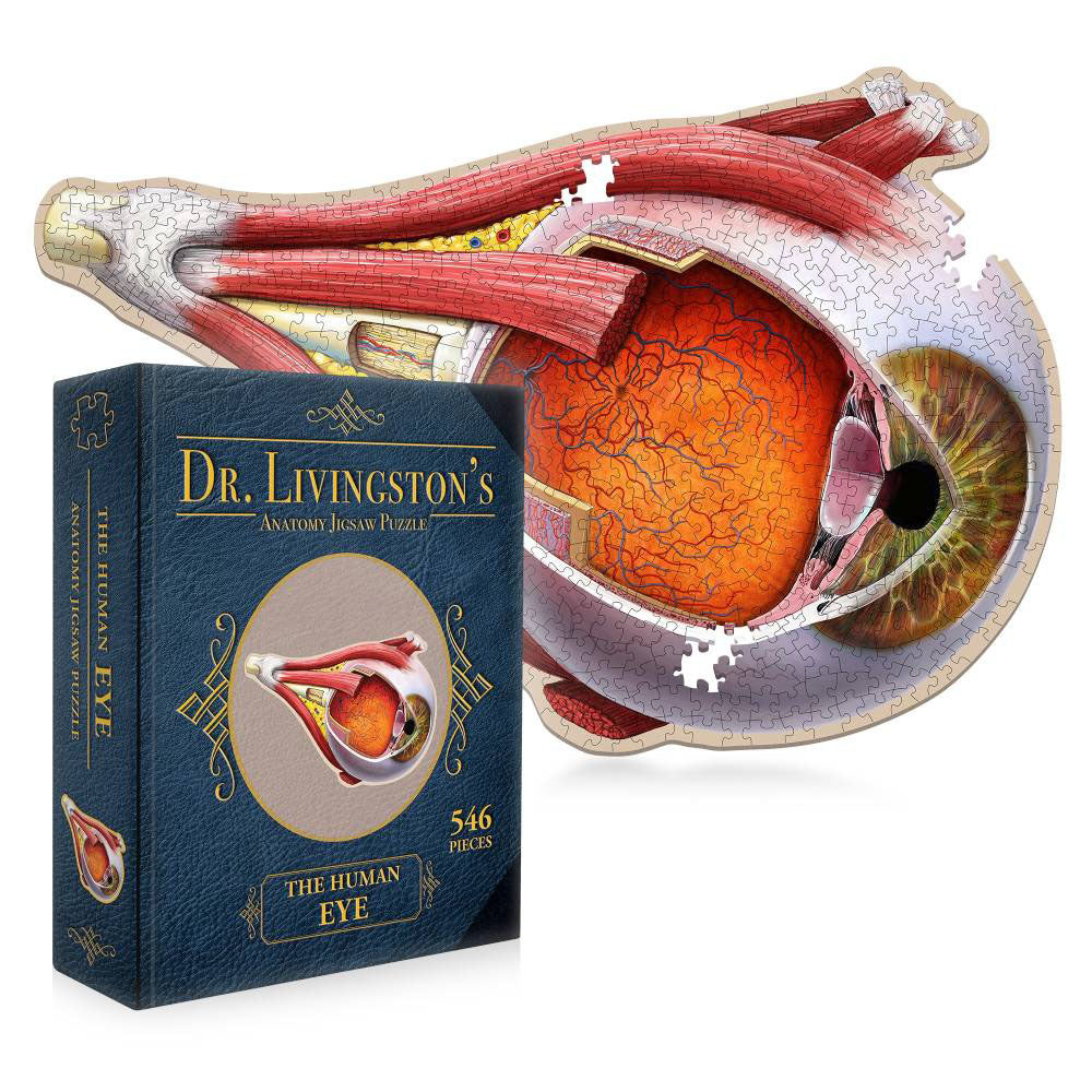 Dr. Livingston's Anatomy Jigsaw Puzzle