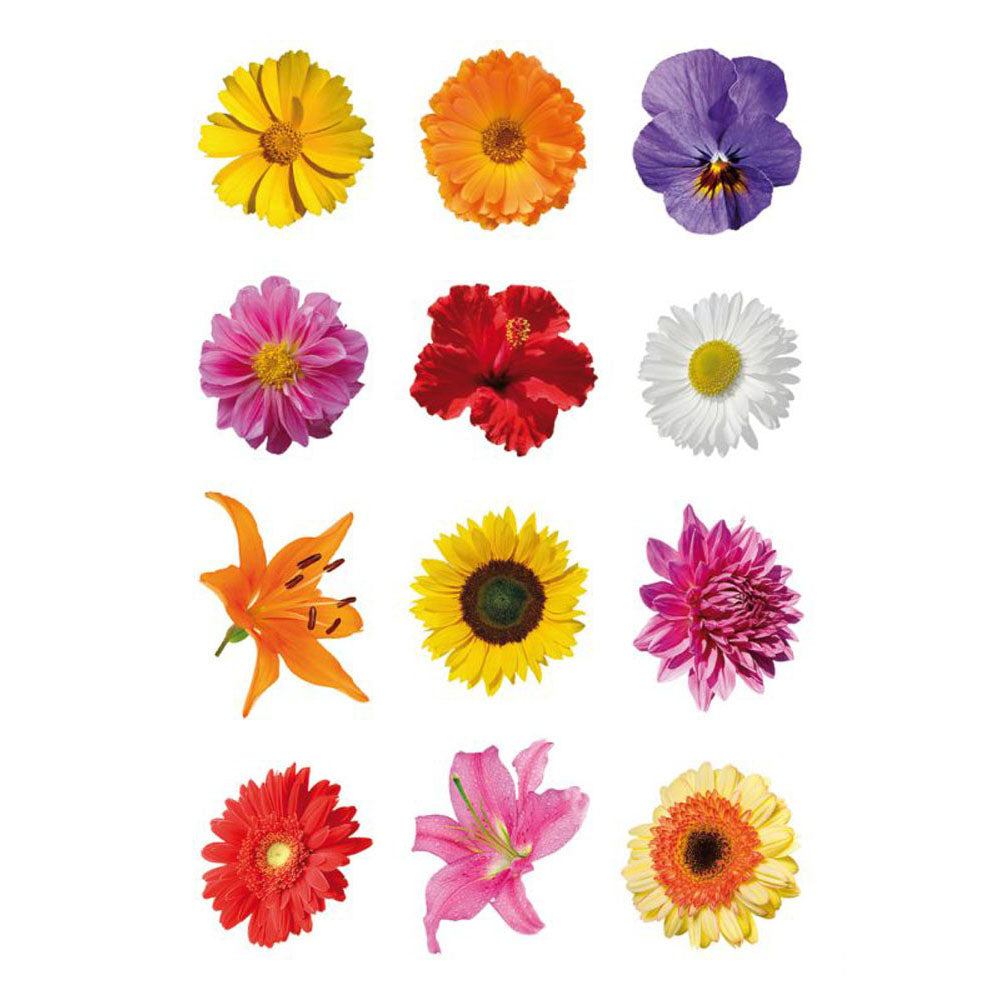 Herma Coloured Gerberas Sticker