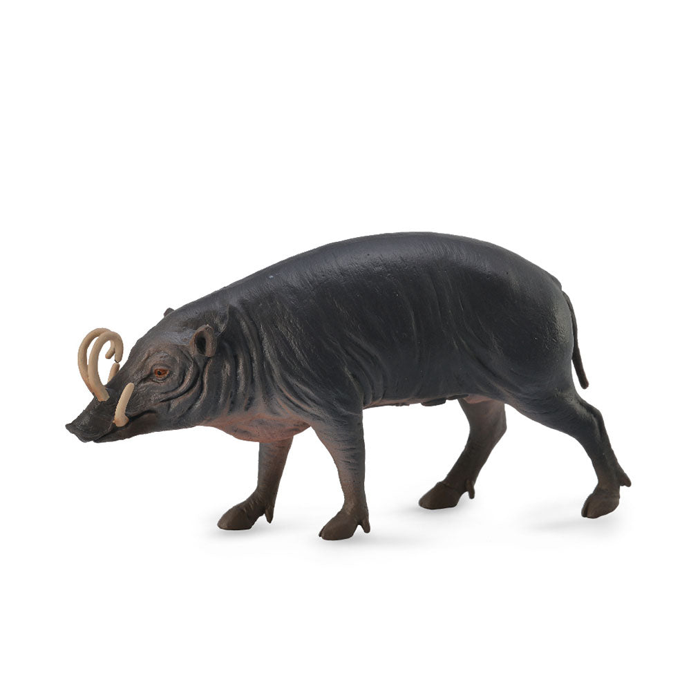 CollectA Sulawesi Babirusa Figure (Large)