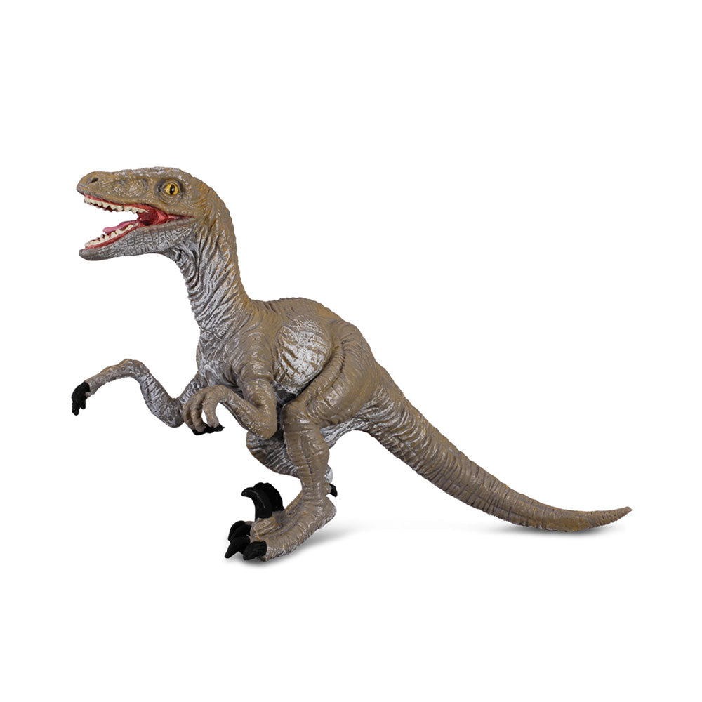 COLLECTA VELOCIRAPTOR DINOSAUR FIGURE