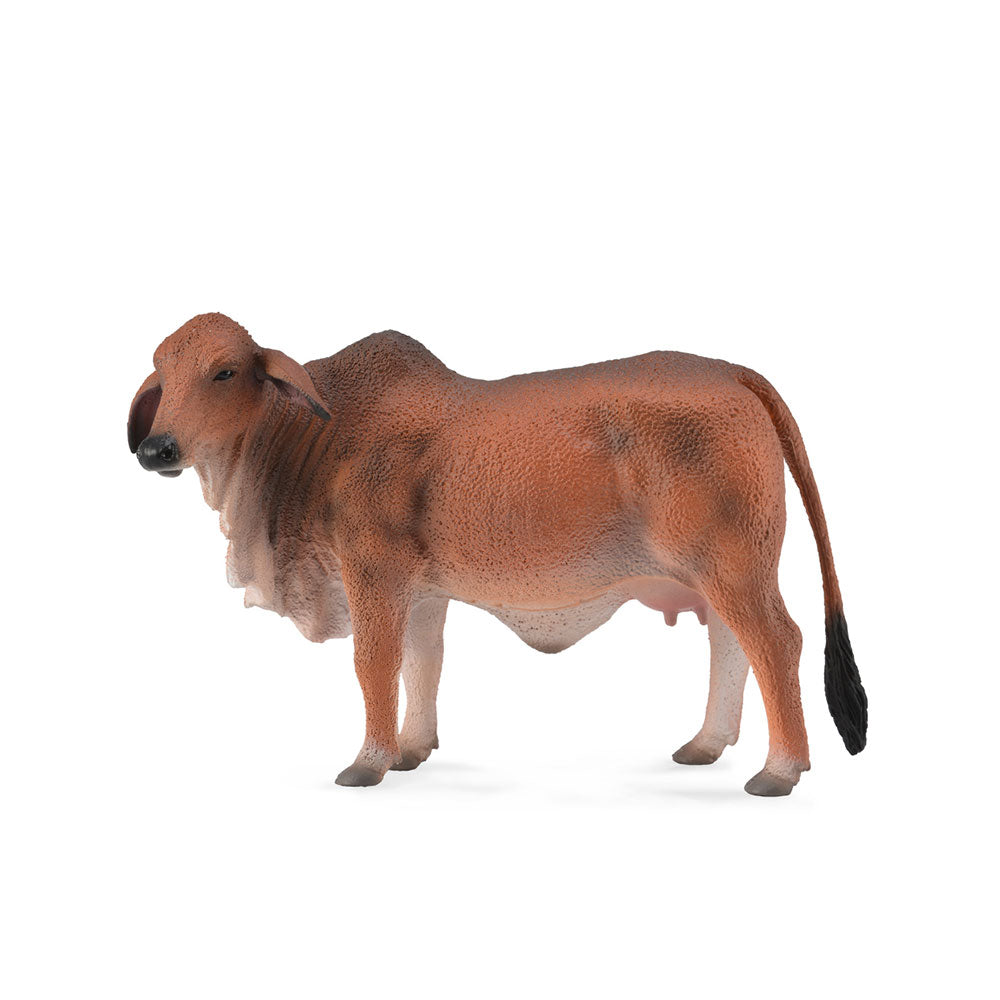 COCOLLA Brahman Cow Figure (Large)