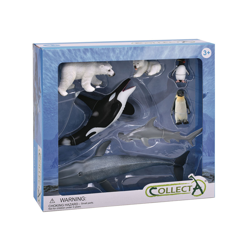 Collecta Sea Life Animal figurer Gavesæt