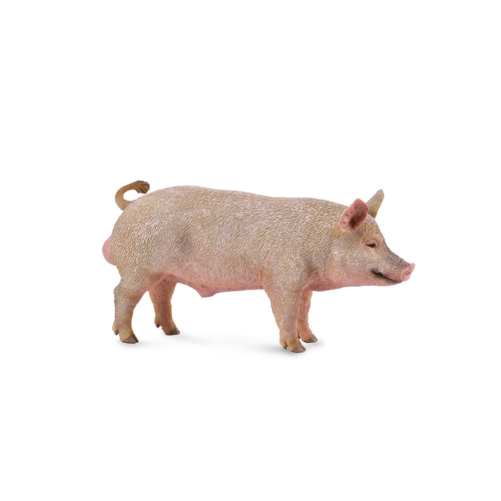 Collecta Pig Figur (medium)