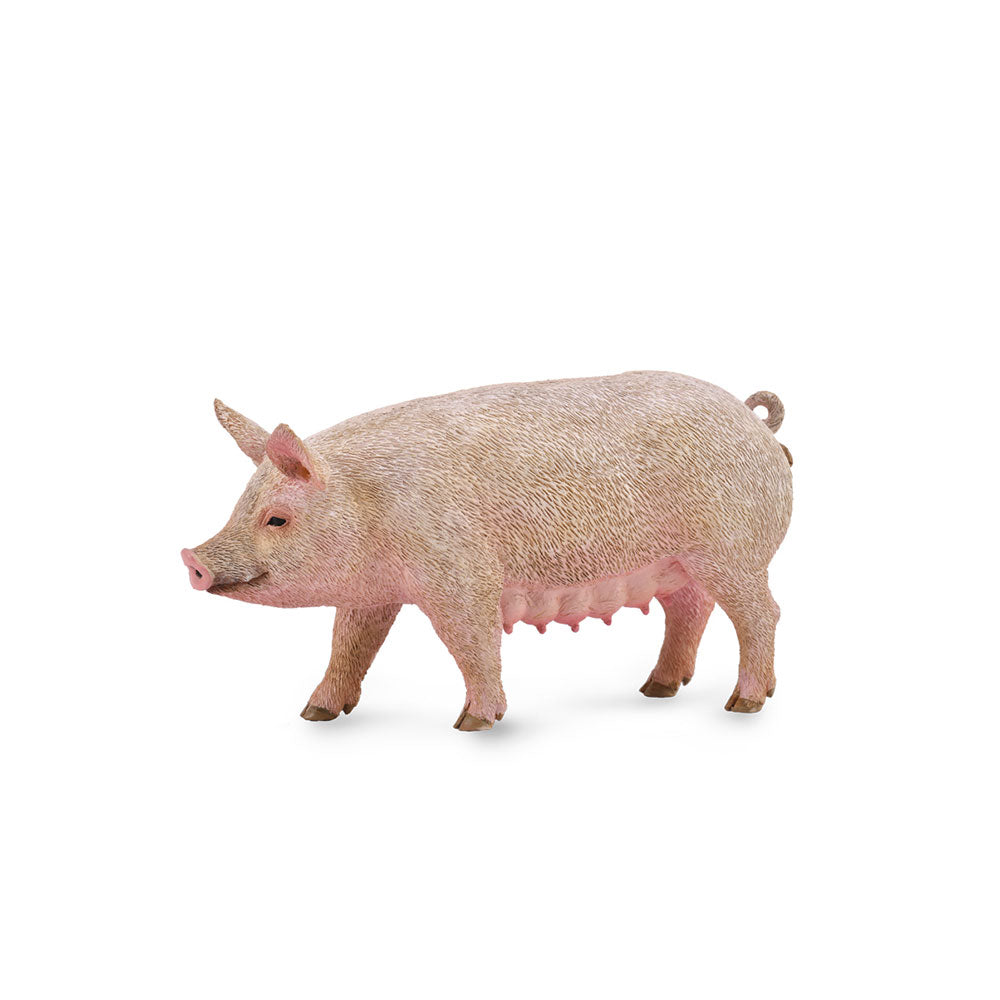 COLCA PIG Figur (medium)