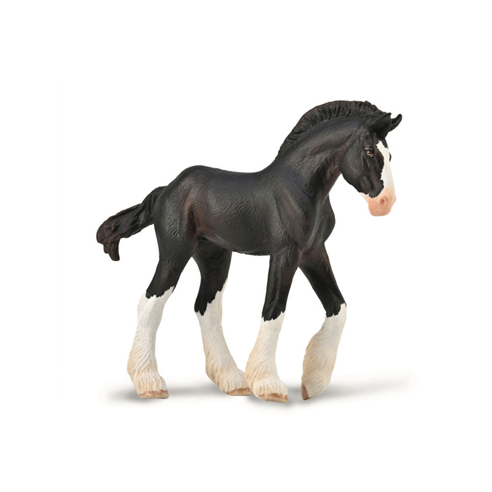 collecta clydesdale foal図（中）