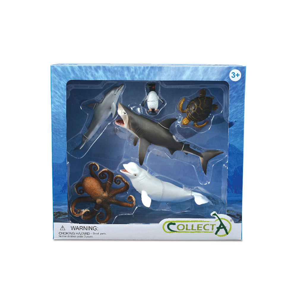 Collecta Sea Animal Figuresギフトセット（6パック）