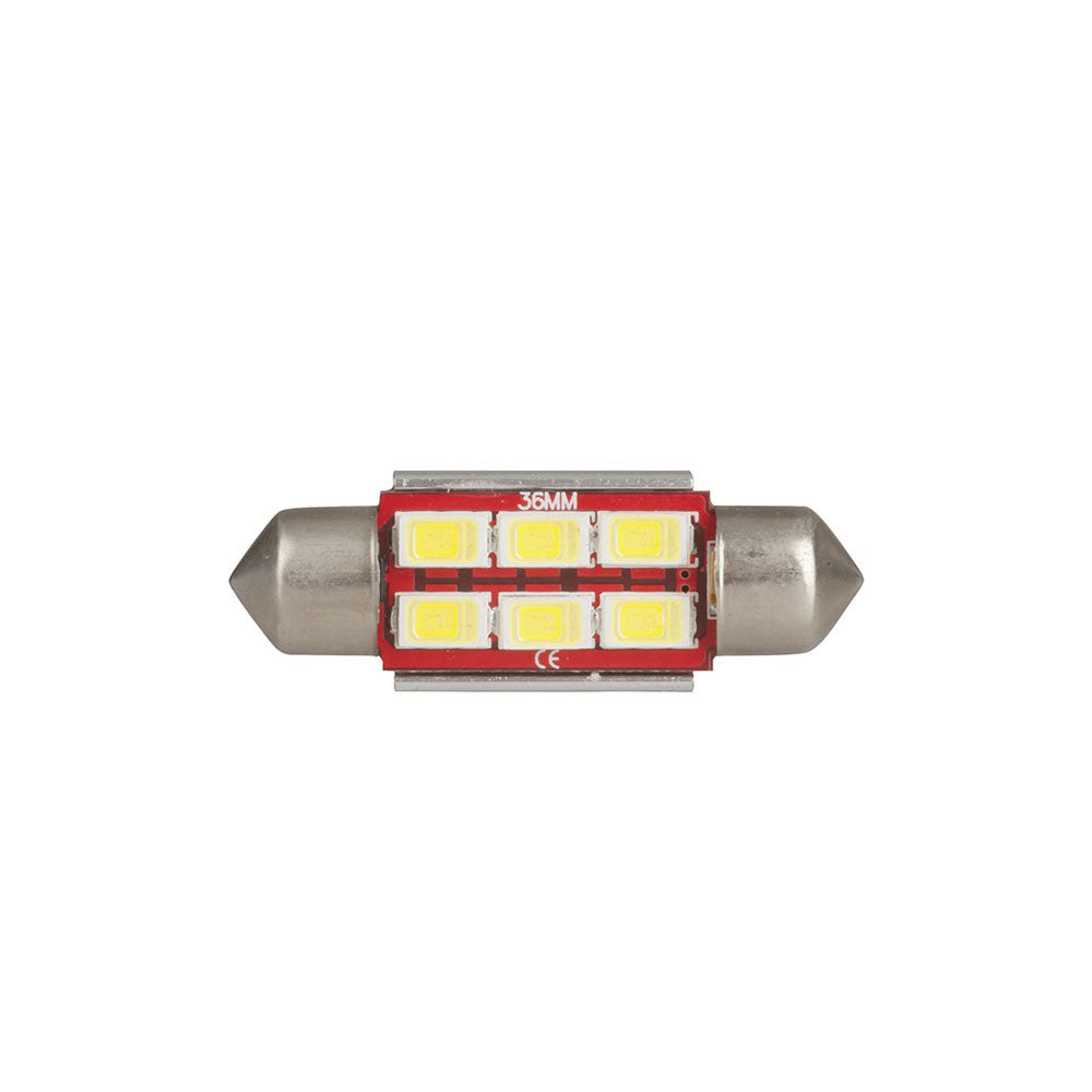 CanBus Compatible LED Festone Globe 12V (6x5730)