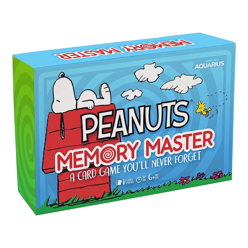 Memory Master Kartenspiel