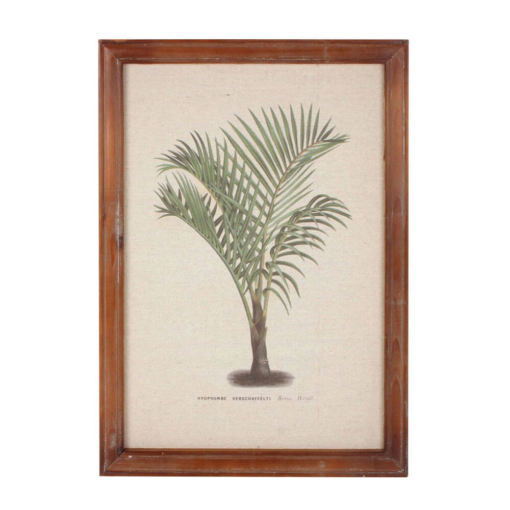 Indrammet Vintage Palm Wall Art (38x52x1,8 cm)