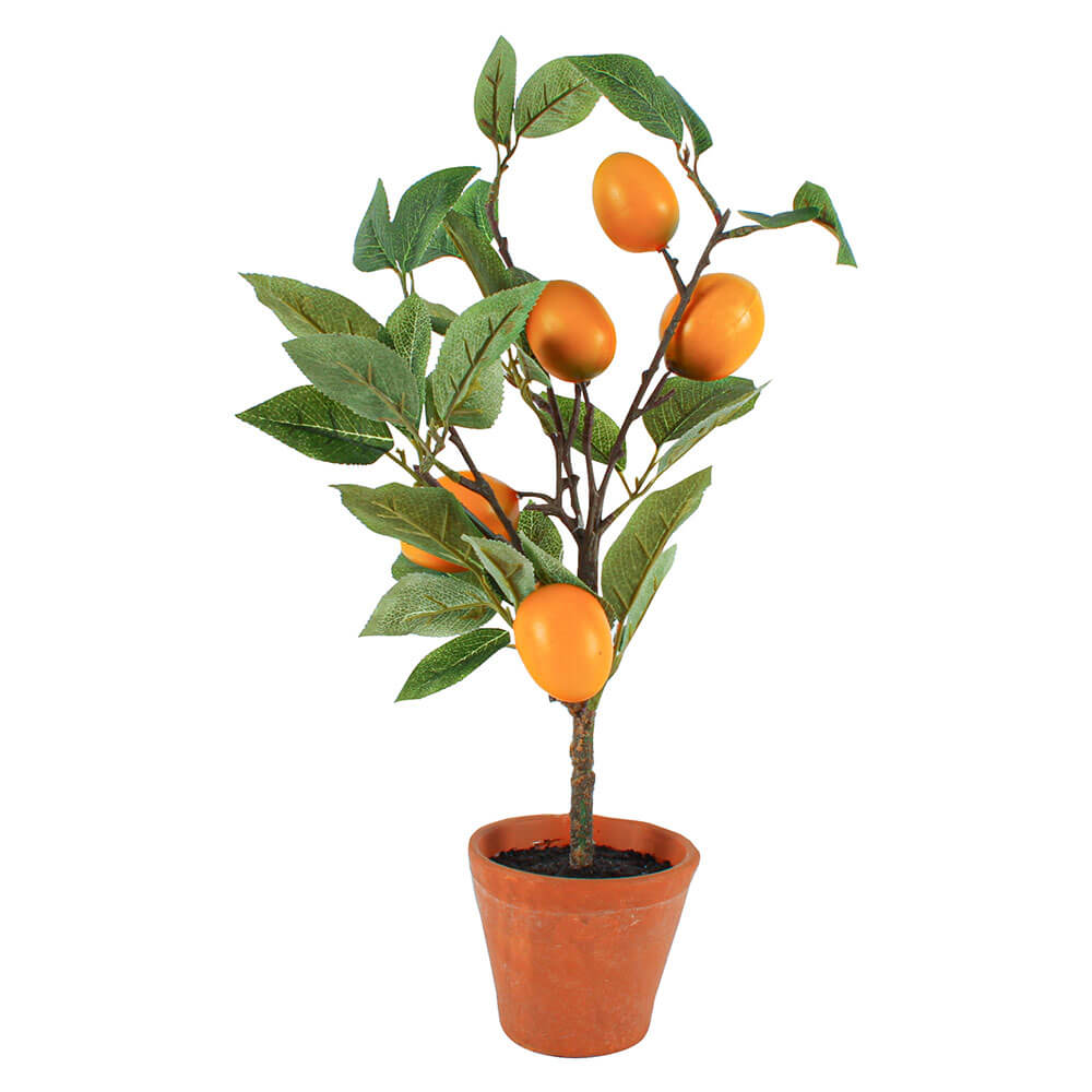 Lemon Tree in Terracotta Pot 43cm