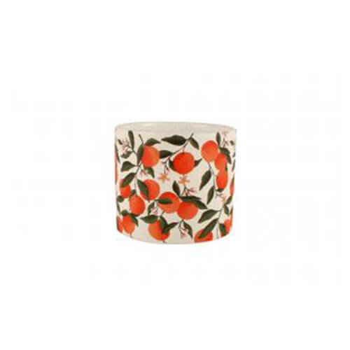 Mandarin Tree Ceramic Plant Pot