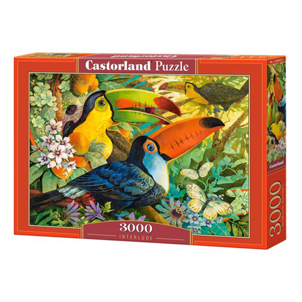  Castorland Classic Puzzle 3000 Teile