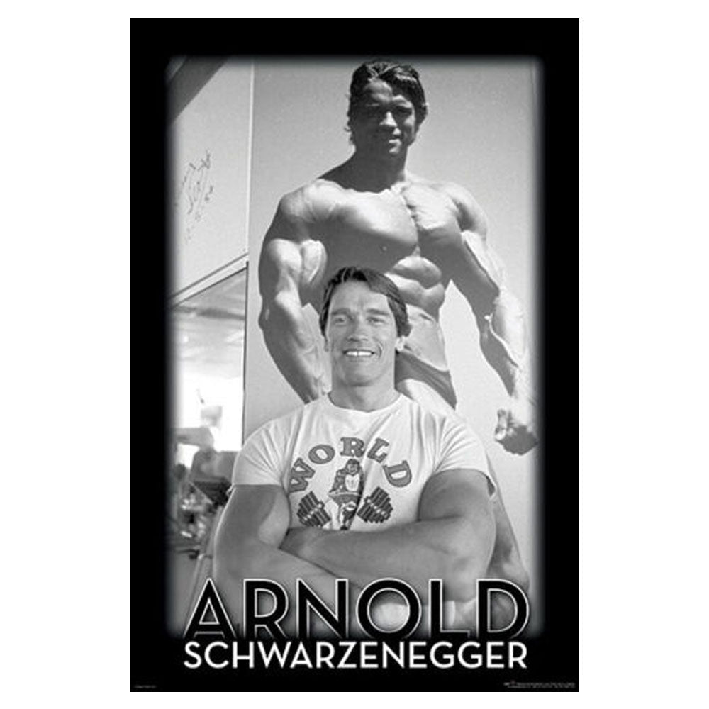 Arnold Schwarzenegger Poster