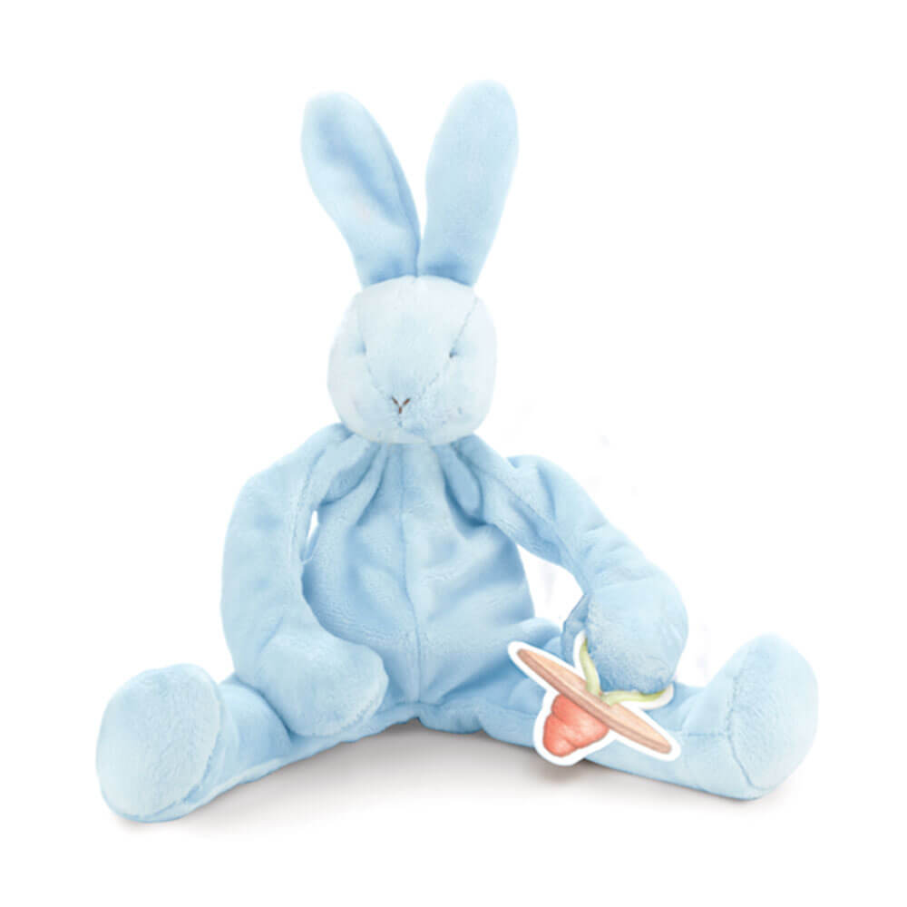 Konijntjes bij de baai dwaze buddy bunny