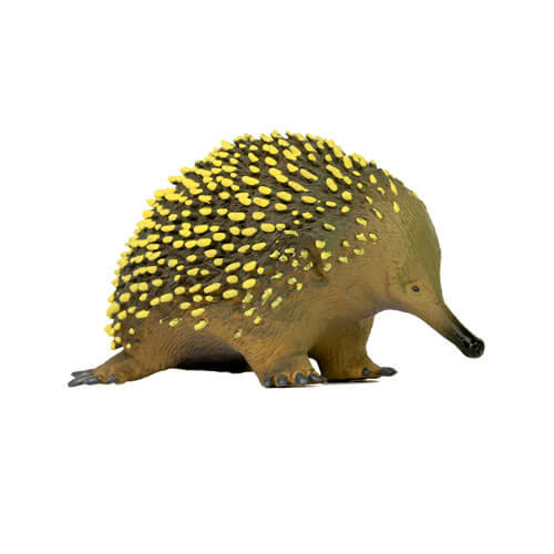 Animals of Australia Large Echidna Replica