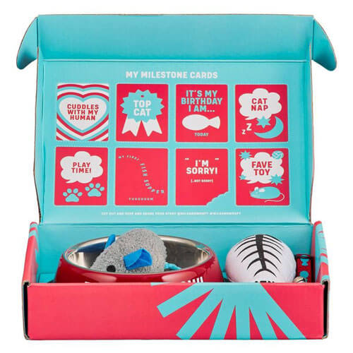 Wild & Woofy Cat Gift Set