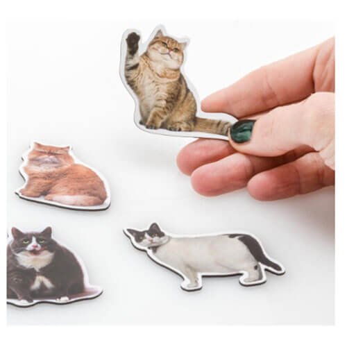 Fat Cat Magnets